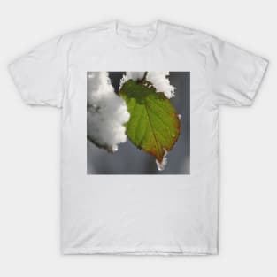 Melting Snow T-Shirt